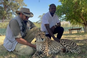 Cape Town: Cheetah Outreach, Giraffe Encounter & Wine Tour