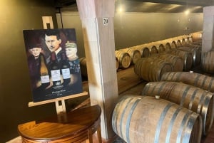 Cape Town: Cheetah Outreach, Giraffe Encounter & Wine Tour