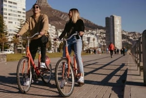 Ciudad del Cabo: Pase de Explorador Urbano con billete de autobús clásico