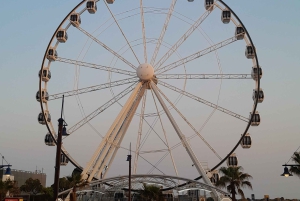 Le Cap : City Explorer Pass avec billet de bus classique