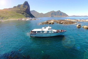 Le Cap : City Explorer Pass avec billet de bus classique