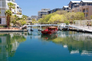 Le Cap : City Explorer Pass avec billet de bus classique