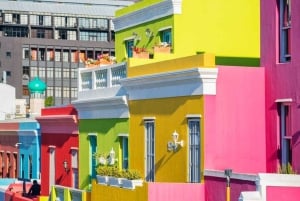 Le Cap : visite d'une jounée