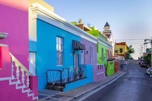 Le Cap : visite d'une jounée