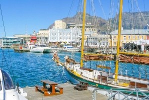 Cape Town: Byrundvisning med højdepunkter og skjulte perler