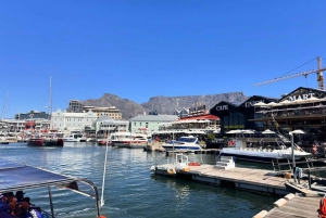 Cape Town Citys høydepunkter: Robben Island, Table Mountain, Taffelberget