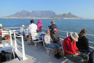 Kapkaupungin kaupungin kohokohtien kierros: Robben Island, Pöytävuori