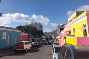 Обзорная экскурсия по Кейптауну: остров Роббен, Столовая гора