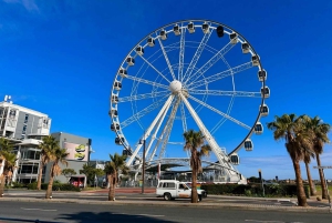 Обзорная экскурсия по Кейптауну: остров Роббен, Столовая гора