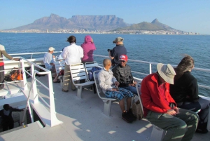 Обзорная экскурсия по Кейптауну: остров Роббен, Столовая гора
