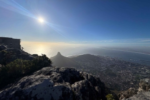 Обзорная экскурсия по Кейптауну: остров Роббен, Столовая гора