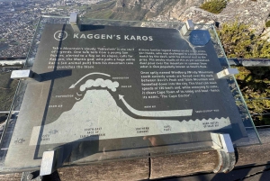 Обзорная экскурсия по Кейптауну: остров Роббен, Столовая гора