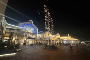 Обзорная экскурсия по Кейптауну: остров Роббен, Столовая гора