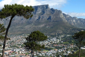Cape Town City dagstur for små grupper