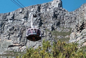 Cape Town City Tour og Table Mountain pluss billetter