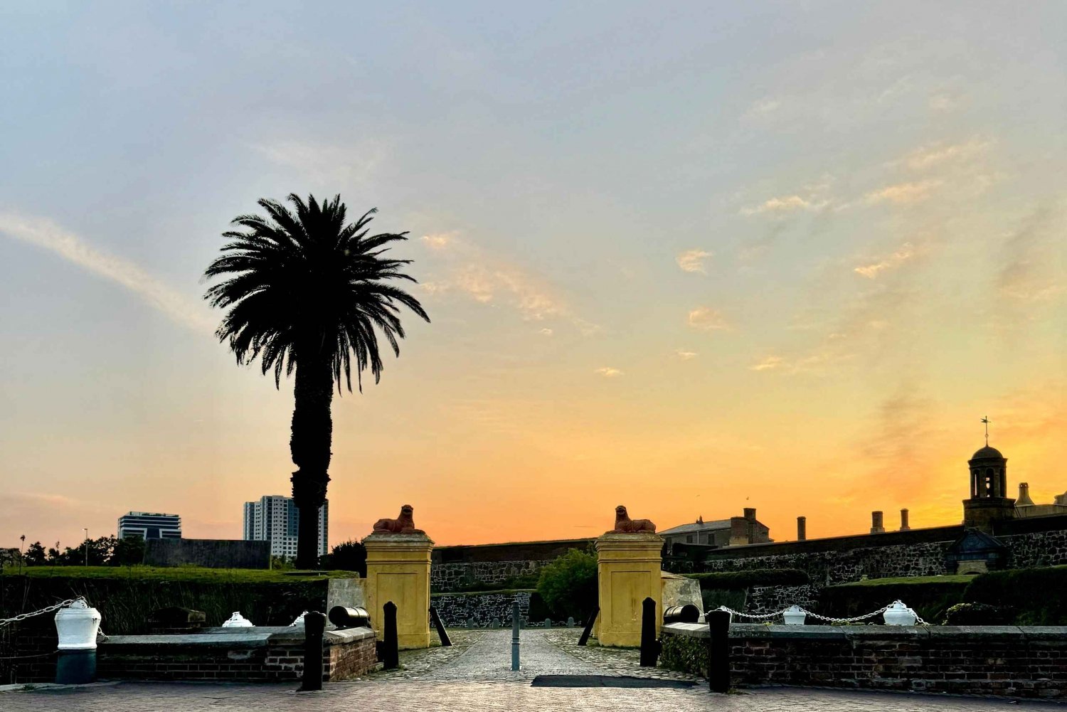 Cape Town: Cape of Good Hope and Penguins Colony Day Tour
