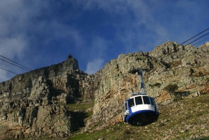 Cape Town: City Tour, Table Mountain, Kirstenbosch & Wine