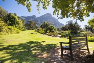 Visite de la ville du Cap : Montagne de la Table, Kirstenbosch et vin