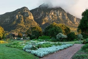 City Tour pela Cidade do Cabo: Table Mountain, Kirstenbosch e Vinho