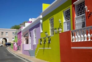 Stadsrundtur i Kapstaden: Taffelberget, Kirstenbosch och vin
