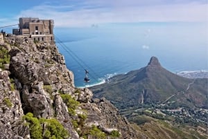 Экскурсия по Кейптауну: Столовая гора, Кирстенбош и вино