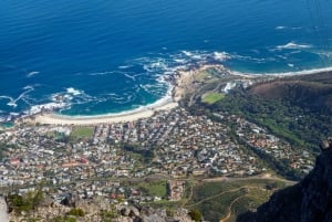 Stadstour door Kaapstad: Tafelberg, Kirstenbosch en wijn