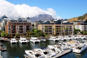 Cape Town City Tour: Table Mountain, Kirstenbosch og vin