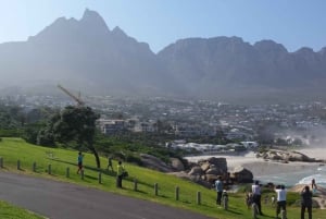 Stadstour door Kaapstad: Tafelberg, Kirstenbosch en wijn