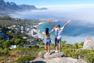 Stadsrundtur i Kapstaden: Taffelberget, Kirstenbosch och vin