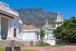 Экскурсия по Кейптауну: Столовая гора, Кирстенбош и вино