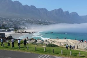 Excursión por Ciudad del Cabo: Montaña de la Mesa, Kirstenbosch y Vino