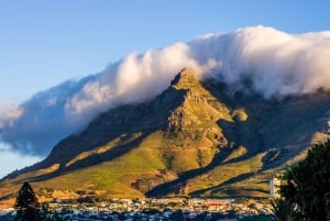 Visite de la ville du Cap : Montagne de la Table, Kirstenbosch et vin