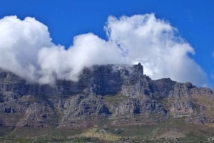 Wycieczka po Kapsztadzie: Góra Stołowa, Kirstenbosch i wino
