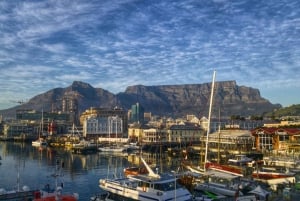 Cape Town: City Tour with a Local Guide