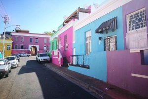 Cape Town: City Tour with a Local Guide