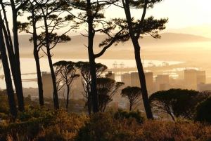 Cape Town: City Tour with a Local Guide