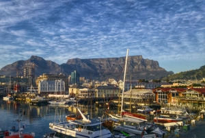 Cape Town: City Tour with a Local Guide