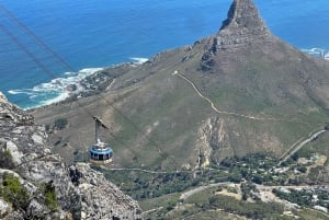 ケープタウン：テーブルマウンテンケーブルカー乗車付きシティツアー