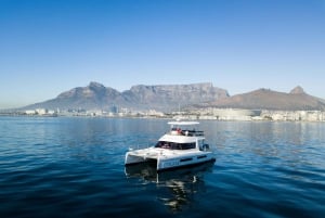 Kaapstad: boottocht met catamaran langs de kust
