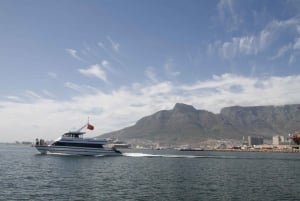 Кейптаун: прибрежный круиз на катамаране