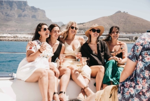Cape Town: Coastal Cruise & 14-piece Sushi Meal