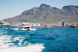 Cape Town: Coastal Cruise & 14-piece Sushi Meal