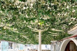 Cape Town: Coastal Cruise & 14-piece Sushi Meal