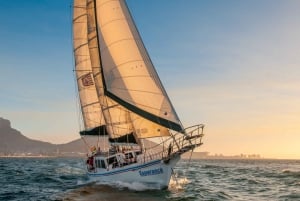 Cape Town: Coastal Cruise & 2-Course Lunch Combo