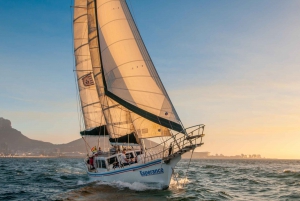 Cape Town: Coastal Cruise & 2-Course Lunch Combo