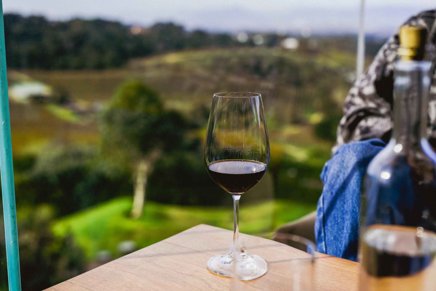 Kapstaden: Constantia halvdags vintur och provsmakning