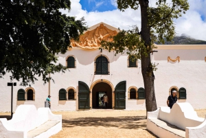 Kapstaden: Constantia halvdags vintur och provsmakning