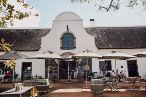 Kapstaden: Constantia halvdags vintur och provsmakning