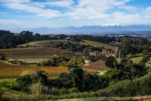 Kapstaden: Constantia halvdags vintur och provsmakning