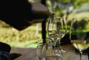 Kapstaden: Constantia halvdags vintur och provsmakning